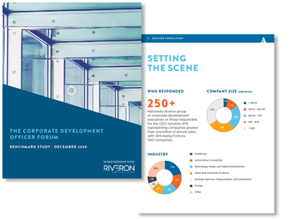 2020 CDO Survey Report 2020 CDO Survey Report