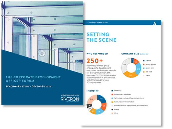 2020 CDO Survey Report